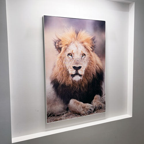 Wall SEG frame