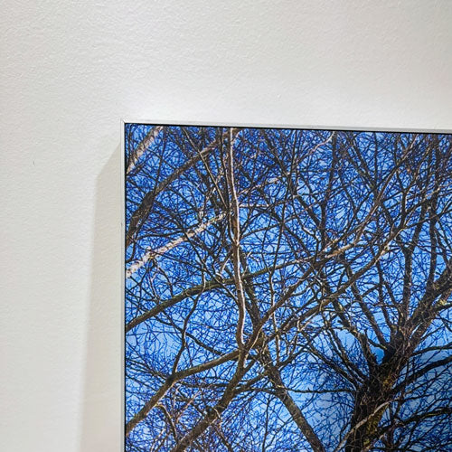 SEG Rubber In Frame